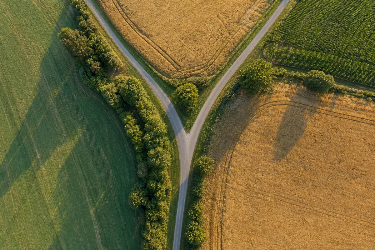 Route de campagne vue du ciel qui se sépare en deux voies au milieu des champs