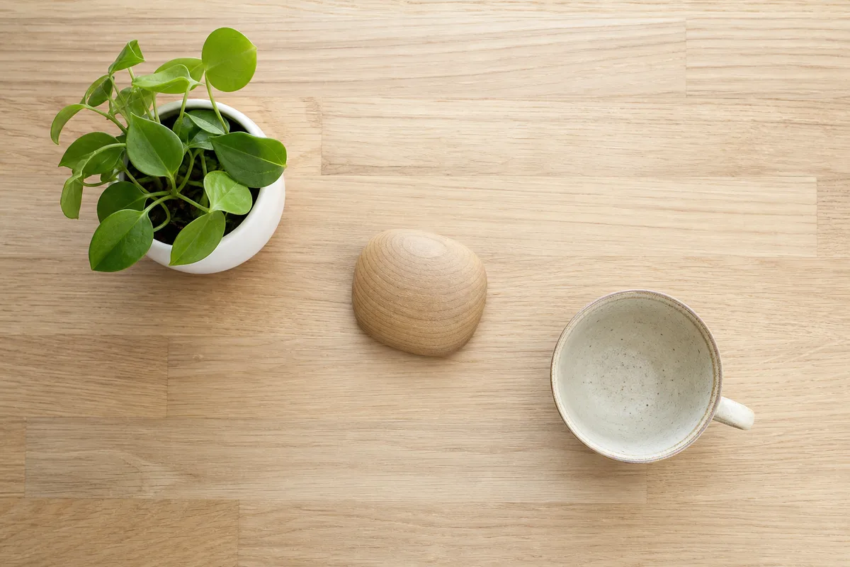 Espace de travail épuré et lumineux avec un clavier et une plante verte